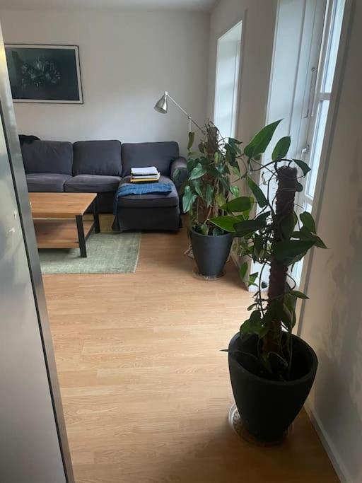 2 Bedroom Apartment Near The Sea Tisvildeleje Exterior foto